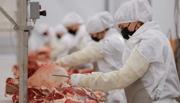 Новый мясоперерабатывающий комбинат на Ставрополье будет производить до 20  тысяч тонн мясной продукции в год