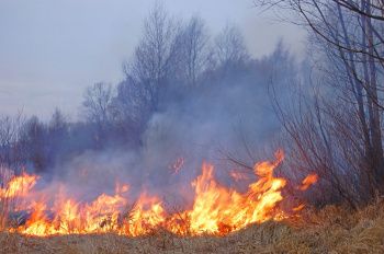 1 марта 2021 года началась федеральная информационная противопожарная кампания «Останови огонь!».