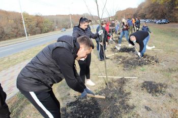 В Ставрополе в рамках экологического проекта высадили 150 деревьев
