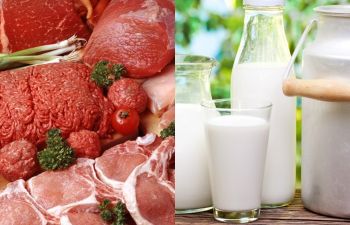 Экспорт мясной и молочной продукции Ставропольского края составил более 67 млн долларов США