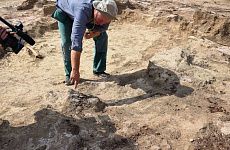 Столичные историки раскрывают тайны древних веков на георгиевской земле