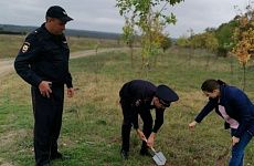 Георгиевские полицейские активно занимаются спортом и благоустройством