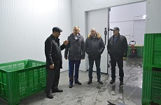 Глава Георгиевского округа посетил предприятие по производству яблочного сока
