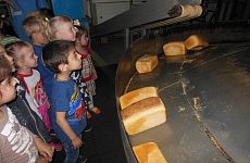 Откуда хлеб пришел: экскурсия ребят на хлебокомбинат