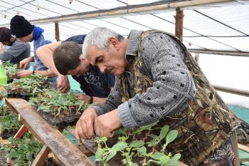 На Ставрополье планируют высадить около 1000 га бахчевых культур
