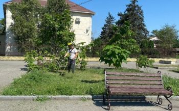 На территории Георгиевского округа продолжаются субботники