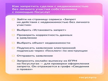 Госуслуги помогут защитить недвижимость от мошенников