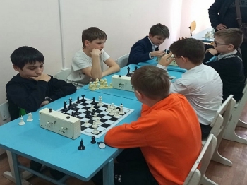 Соревнования по шахматам «Шахматные звезды Ставрополья»