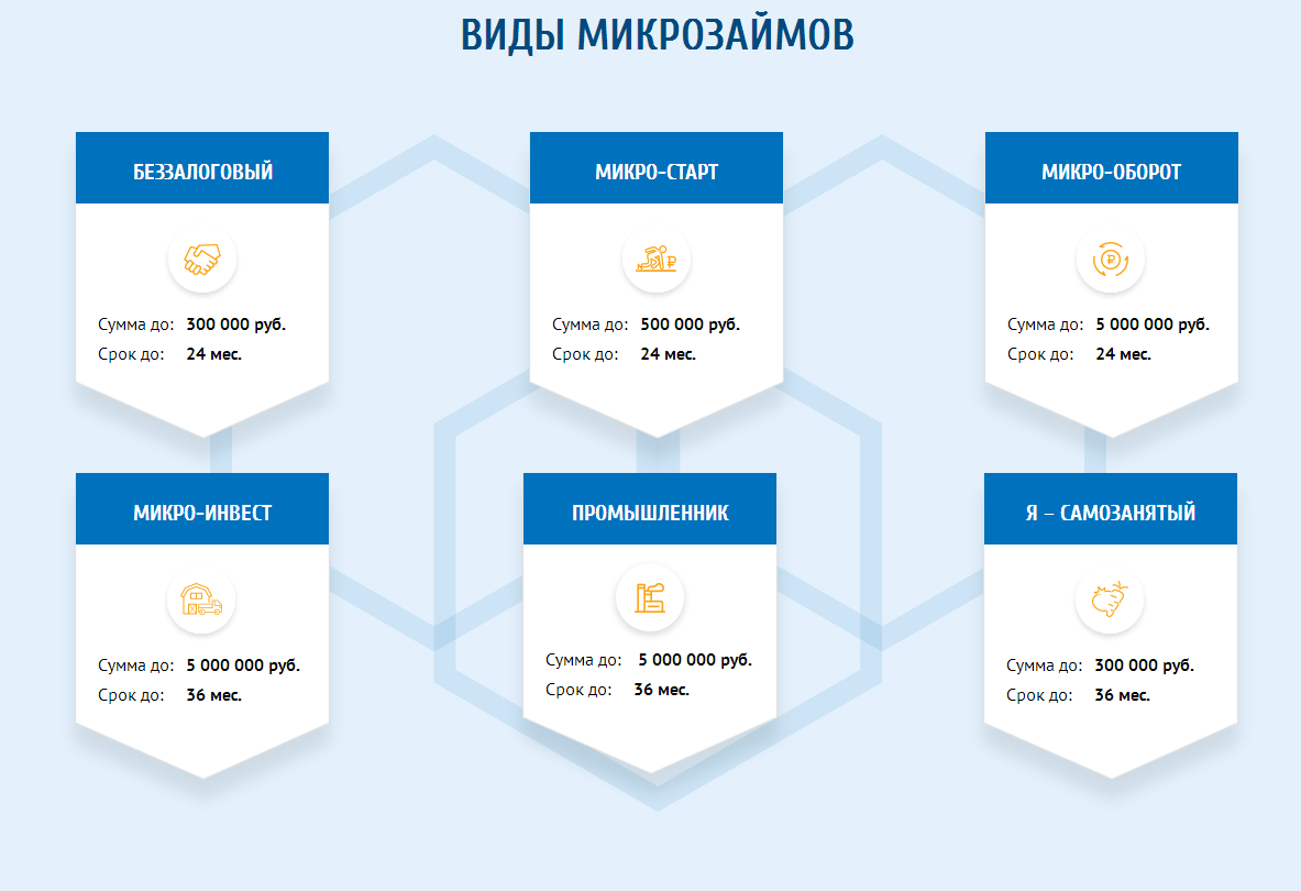 Ставропольский краевой фонд микрофинансирования – «скорая помощь» малому  бизнесу