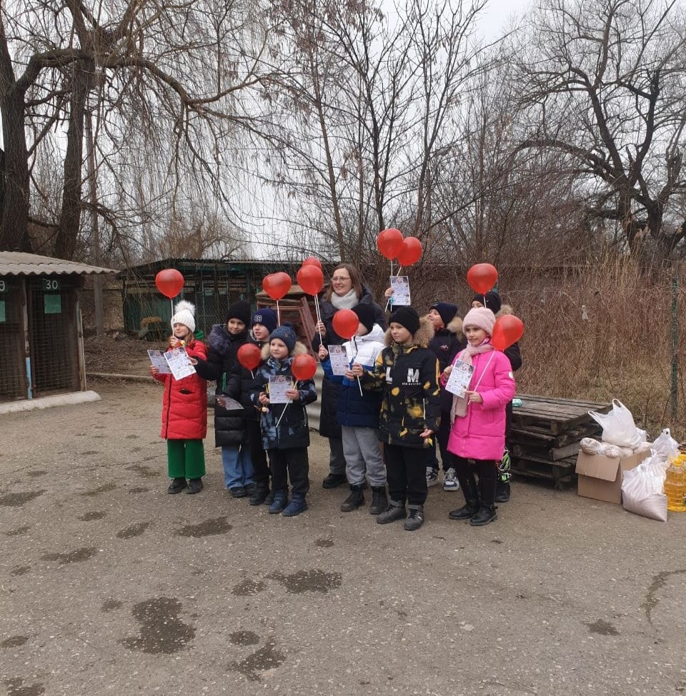 В Георгиевском округе функционирует пункт временного содержания бездомных  животных