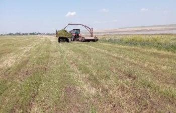 Аграрии Ставрополья завершили заготовку сенажной массы