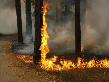 Меры пожарной безопасности в летний пожароопасный период