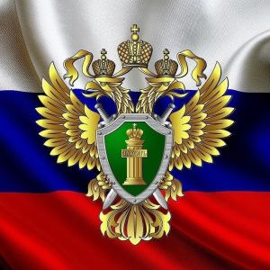 Правительство РФ утвердило поправки о возможности погашения военной ипотеки за счет маткапитала