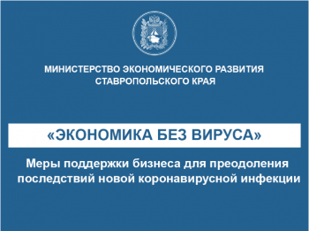 Разработка дополнительных мер государственной поддержки бизнеса на территории Ставропольского края