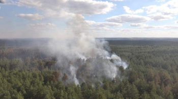 На Ставрополье усиливают ответственность за лесные пожары