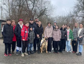 В Георгиевском округе функционирует пункт временного содержания бездомных животных