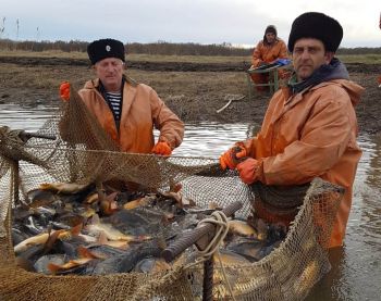 Ставропольские рыбоводы используют новые технологии