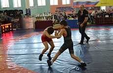 В Георгиевске прошёл межрегиональный турнир по греко-римской борьбе
