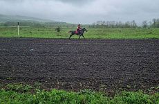 В округе прошёл фестиваль традиционной казачьей воинской культуры «Георгиевская Казарла»