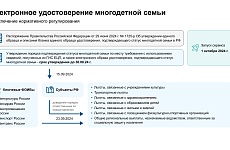 Электронное удостоверение многодетной семьи