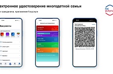 Электронное удостоверение многодетной семьи