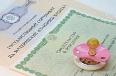 Более 2000 семей Ставрополья направили маткапитал на ежемесячную выплату с начала года
