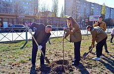 В Георгиевске в память о погибших сотрудниках ОВД России посадили деревья