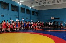 В Георгиевске прошли межрегиональные соревнования по вольной борьбе