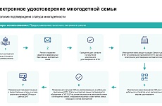 Электронное удостоверение многодетной семьи